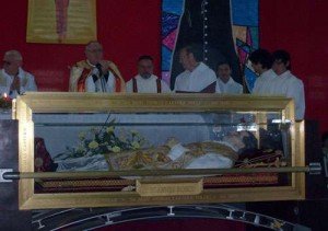 fotos categorias media 71 869