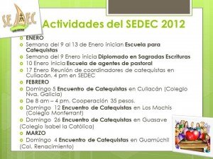 sedec1